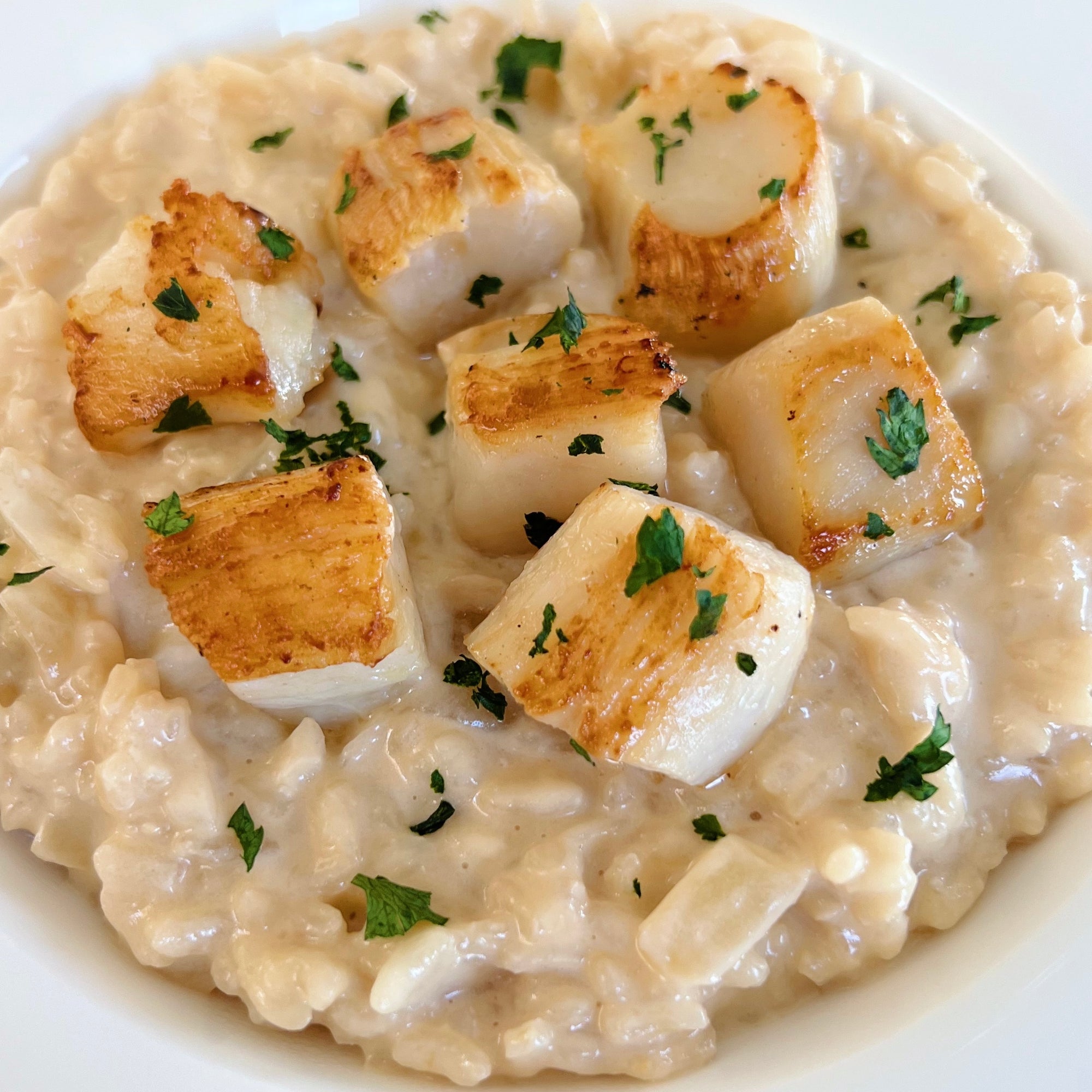 Seared Scallops over Lemon Parmesan Risotto