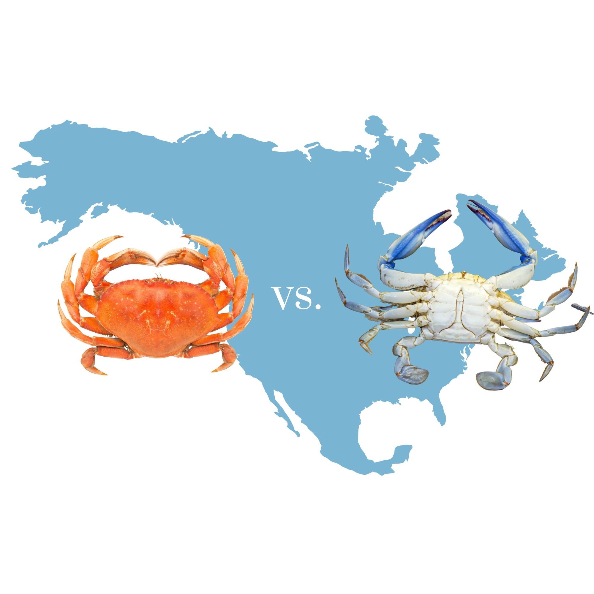 Dungeness crab vs Blue crab