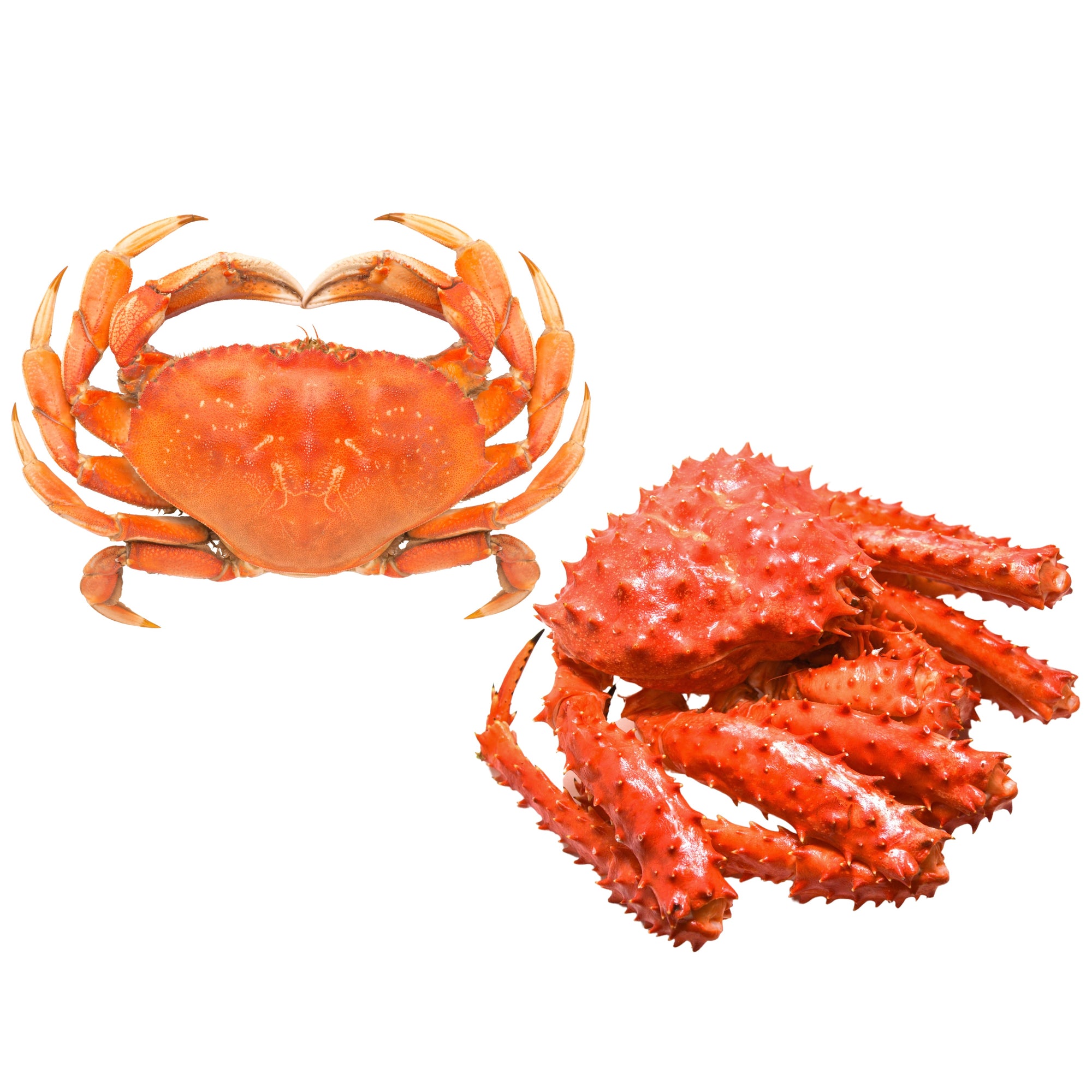 Differences between Dungeness crab and King crab