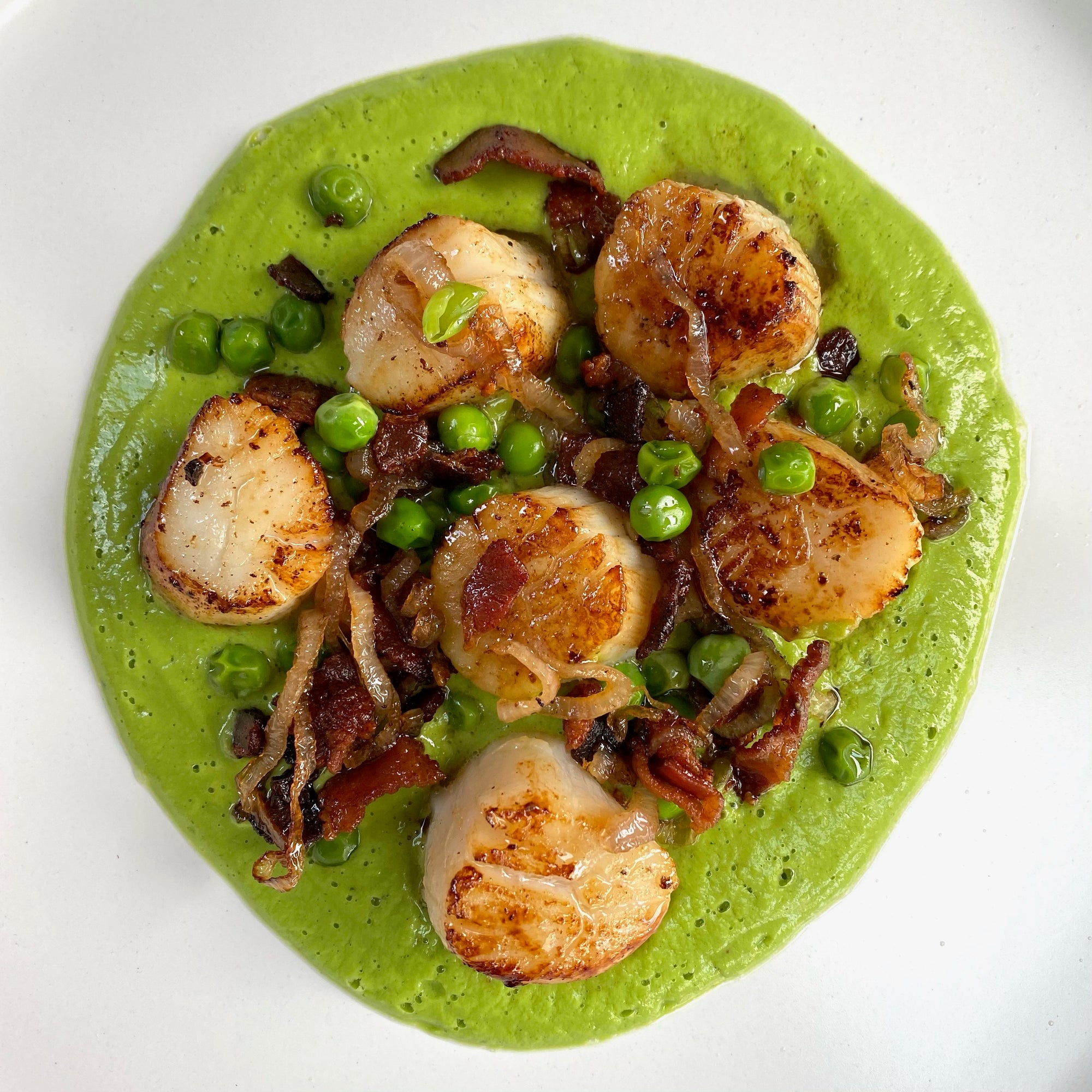 Wild caught Alaskan Weathervane scallops served on a bed of pea puree, bacon, and caramelized shallots