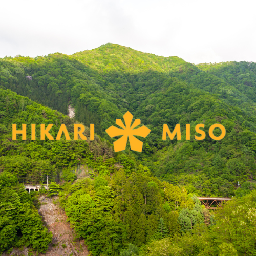 Hikari Miso logo in front of a background of trees